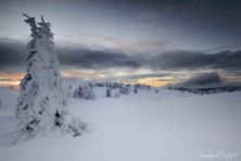 the sound of silence.jpg